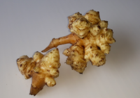 Gesundheits-Produkte